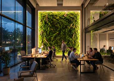 2. Muros Verdes e Iluminación LED Integrada - CM®